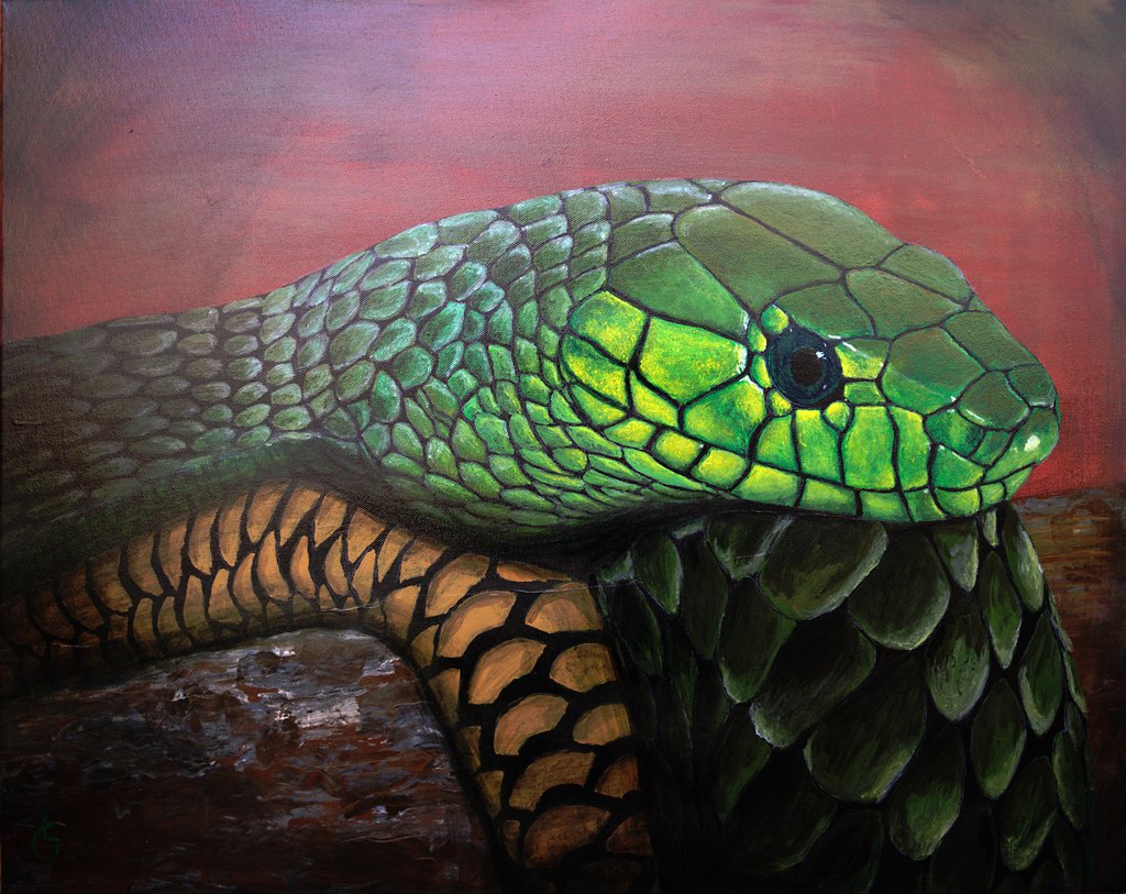 Ruhende Mamba