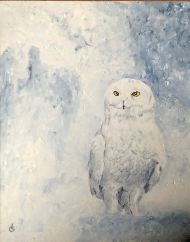Schneeeule