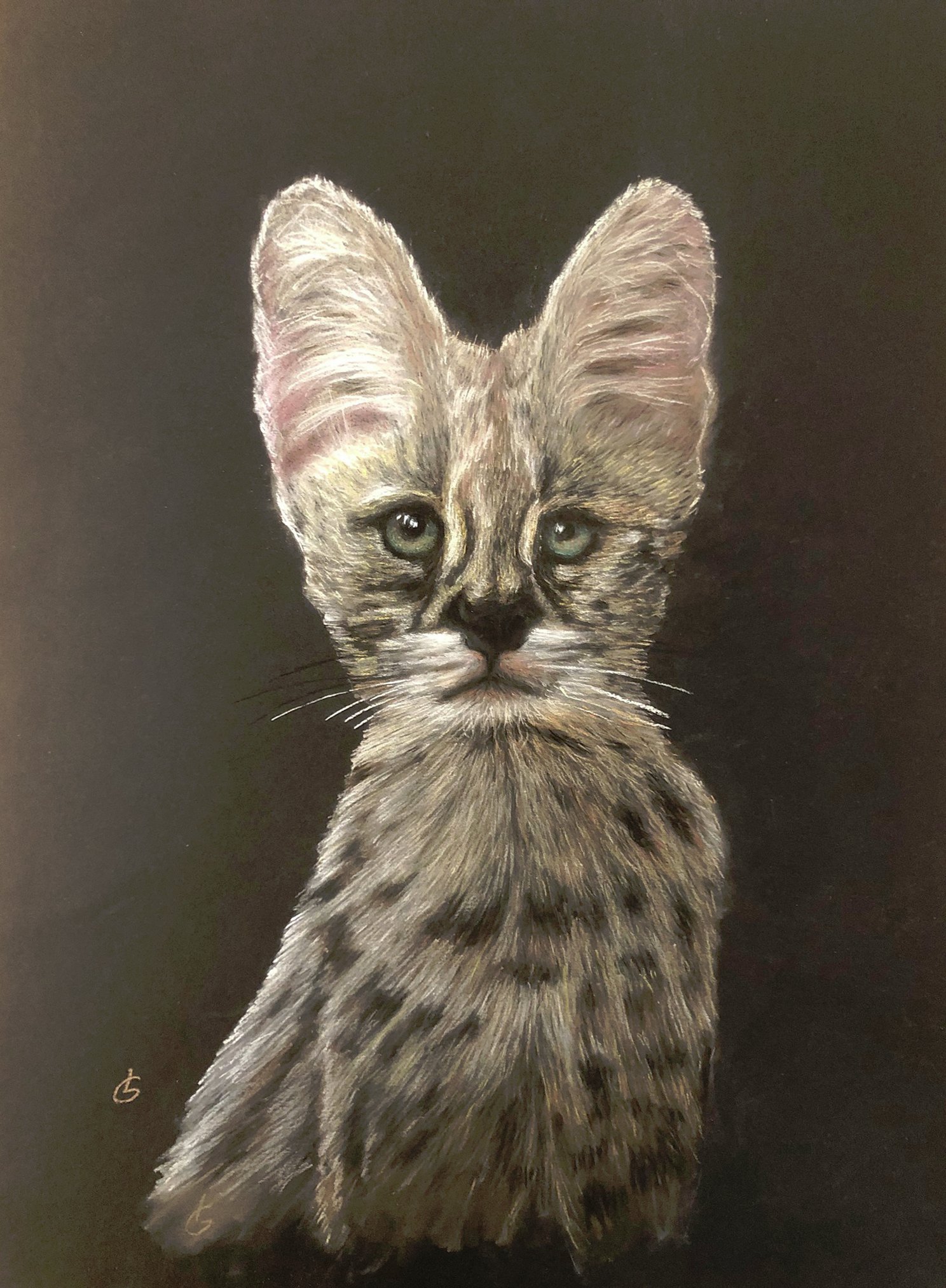 Serval