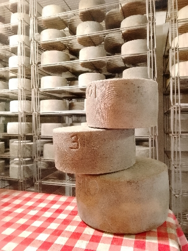 Photo de Tomme fermière OSSAU IRATY 
