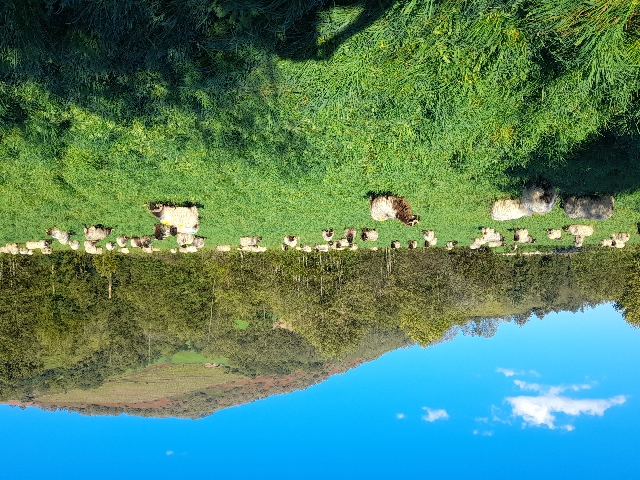 Photo de Ferme Salaberria