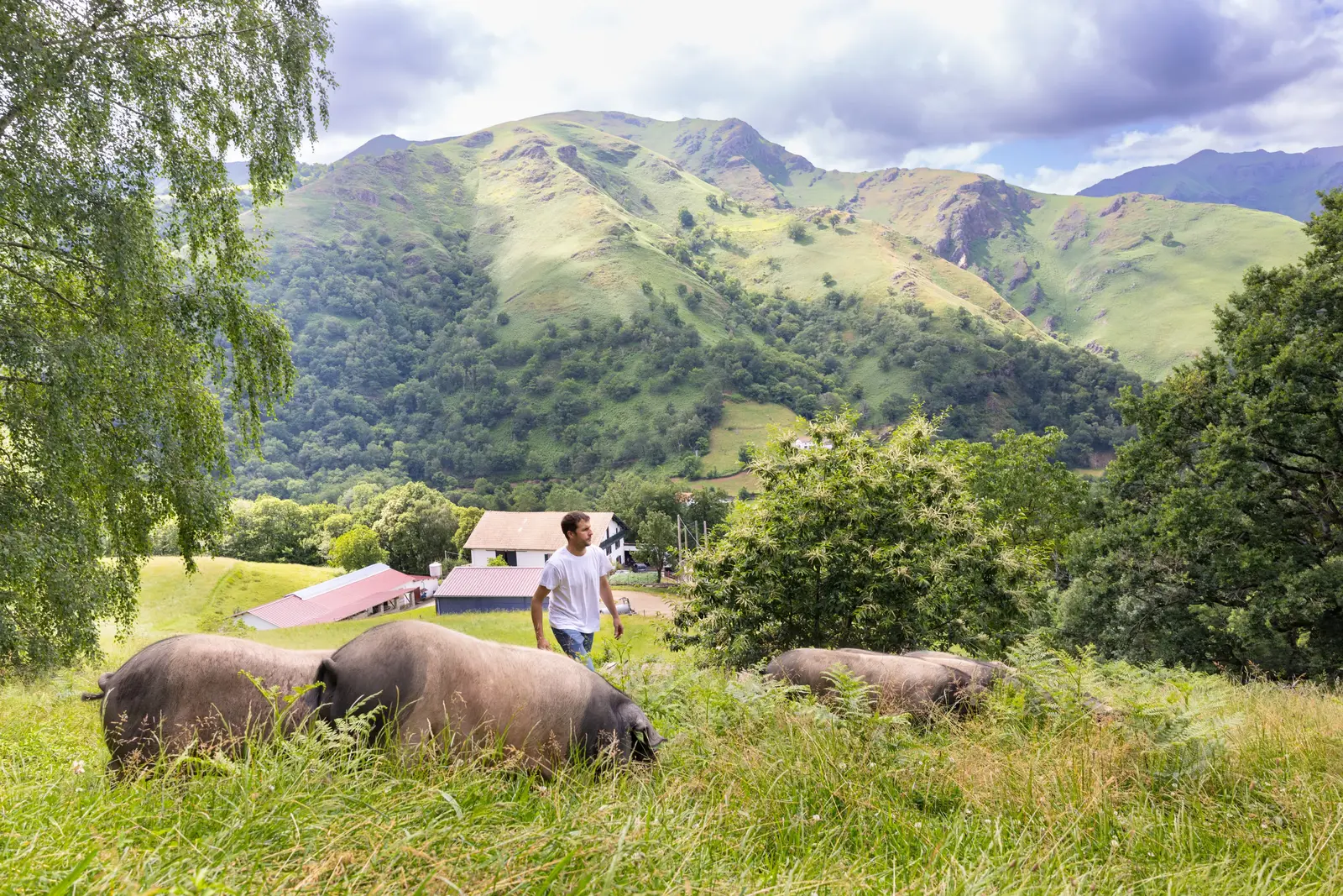 Photo de la ferme Xiteia