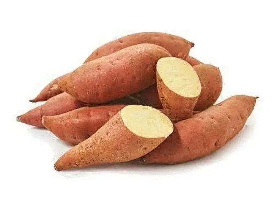 Sweet Potato
