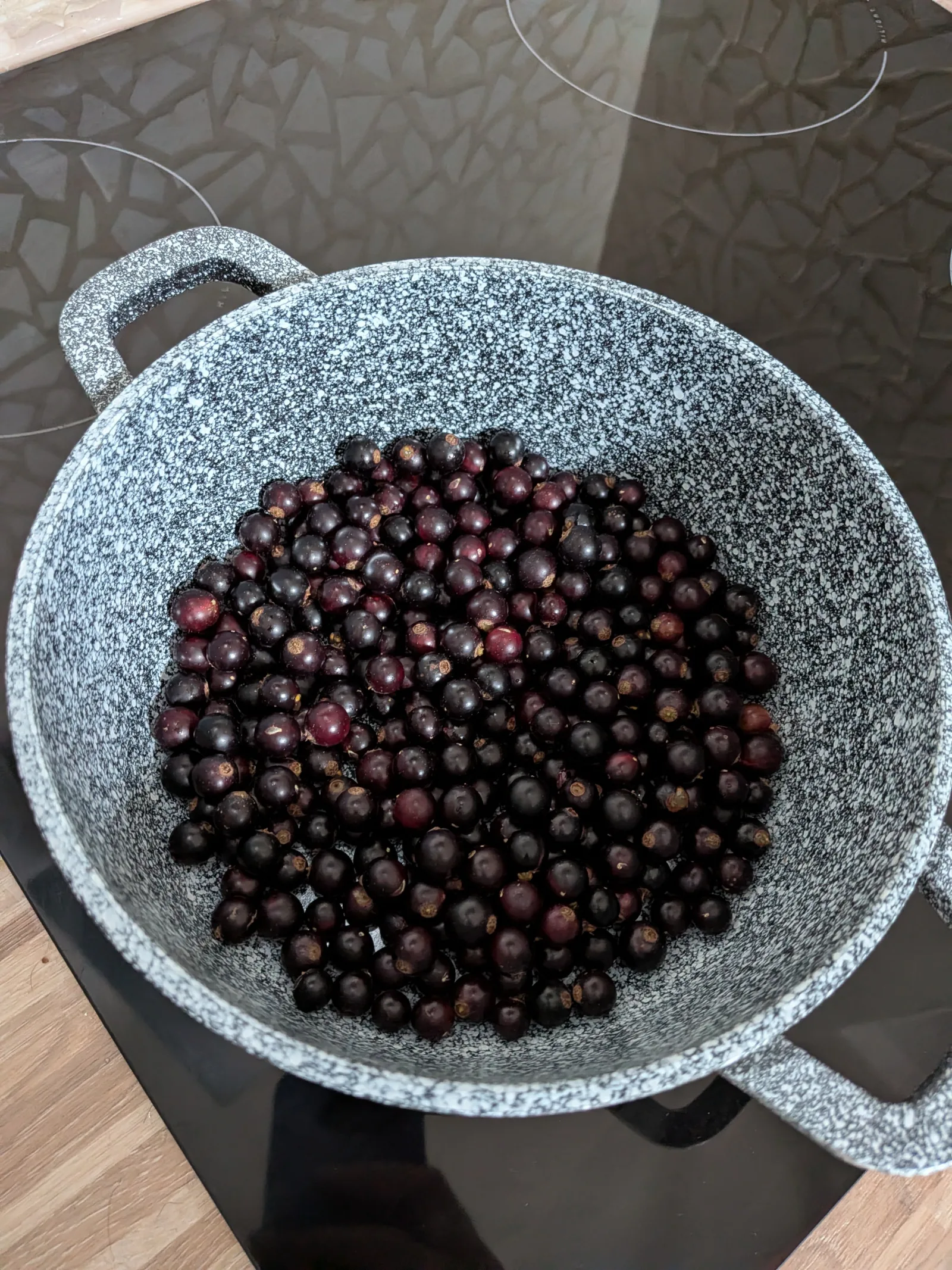 cleaned blackcurrants in a pot