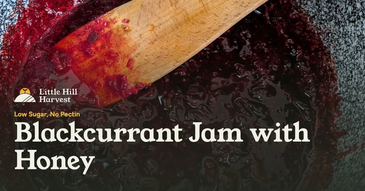 blackcurrant jam in a pot after simmer