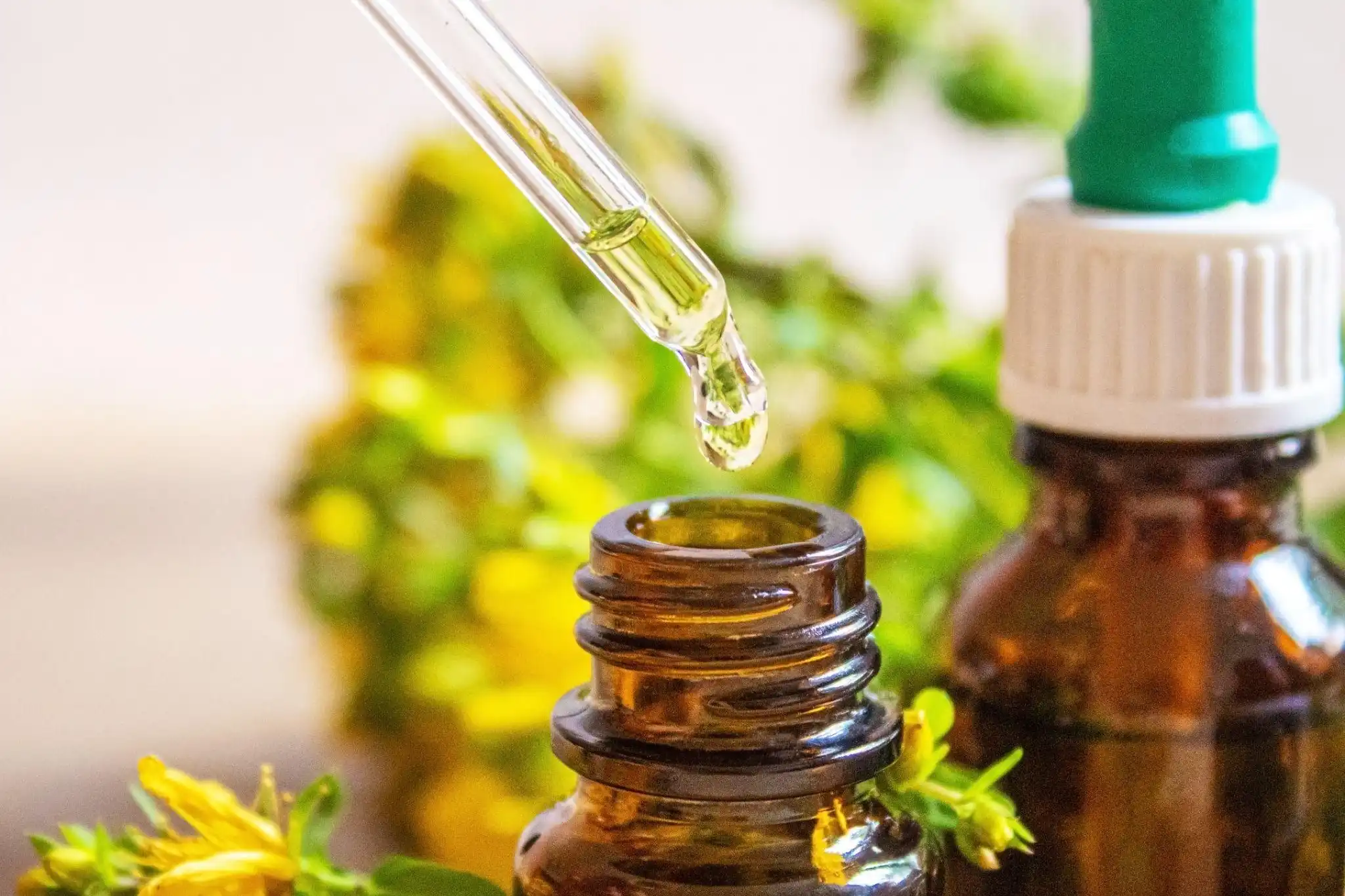Revisa qué es la homeopatía, sus tratamientos y qué dice la evidencia. Conoce cuándo usarla como complemento.
