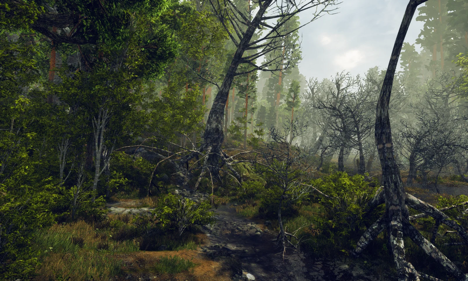 Rework