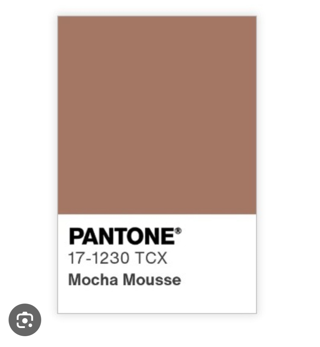 今年の注目カラーはブラウン! 2025年パントン・カラー “モカムース”にフォーカス