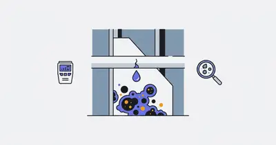 Mold After Water Leak: Detection & Prevention
