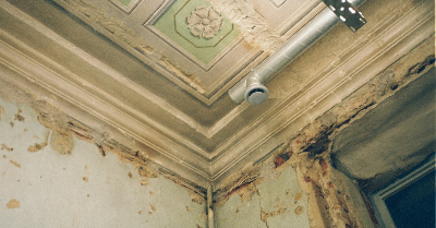 What Is a Mold Inspection? Cost, Process, and When You Actually Need One