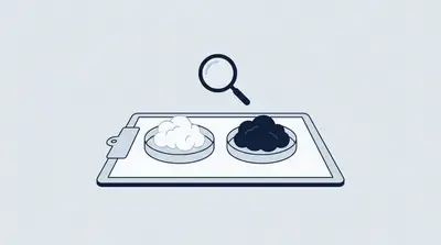 White Mold vs. Black Mold: How to Tell the Difference