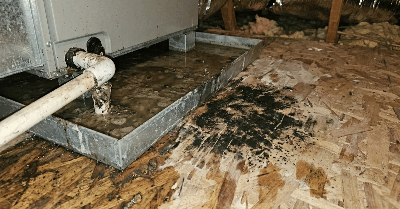 Austin Mold Remediation After Category 3 Flood Water