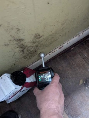 Water Damage And Mold Remediation In Tampa: Why They Should Be Planned Together