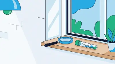 What Does Black Mold Look Like? Visual ID Guide