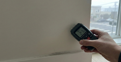 Bay Area Mold: Why Drywall Feels Dry But Isn't