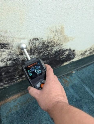 Your Orlando Home Had Water Damage: Do You Need a Mold Inspection or Just Drying and Repairs?