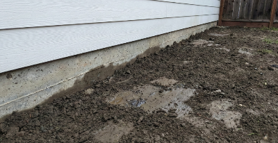 Mold Inspection San Jose: How Clay Soil Keeps Feeding Your Foundation Moisture