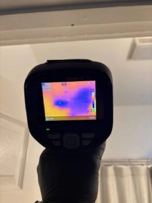 Water Damage And Mold Remediation In Orlando: How To Avoid Repeat Mold After A Leak