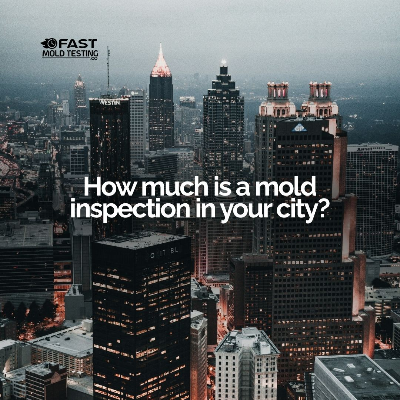 Mold Inspection Cost By City: 2026 Pricing Guide For NYC, LA, Tampa, Orlando, San Jose, Atlanta, And More