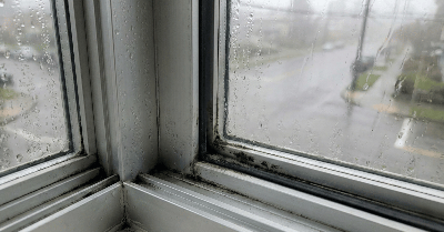 Your Landlord Painted Over the Mold. That Is Not a Fix.
