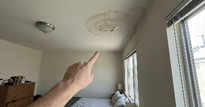 Your Landlord Says Your Lifestyle Caused the Mold. Here Is How to Prove It Did Not.