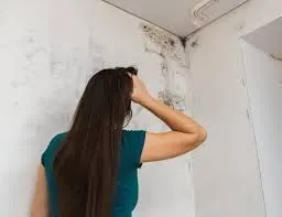 Mold Testing vs Mold Inspection in Jacksonville