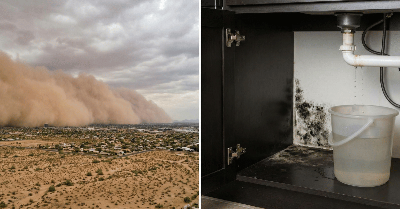 Mold or Valley Fever? How Maricopa County Homeowners Can Tell the Difference
