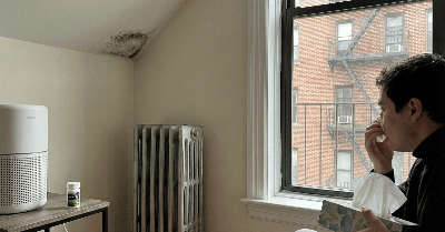 Your NYC Allergies Won't Go Away Because the Problem Is Mold, Not Pollen