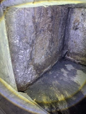 Do I Need a Mold Inspection While Buying a House in Tampa?