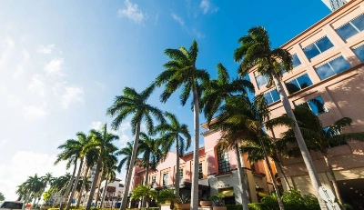 How to Protect Your West Palm Beach Home From Post-Storm Mold