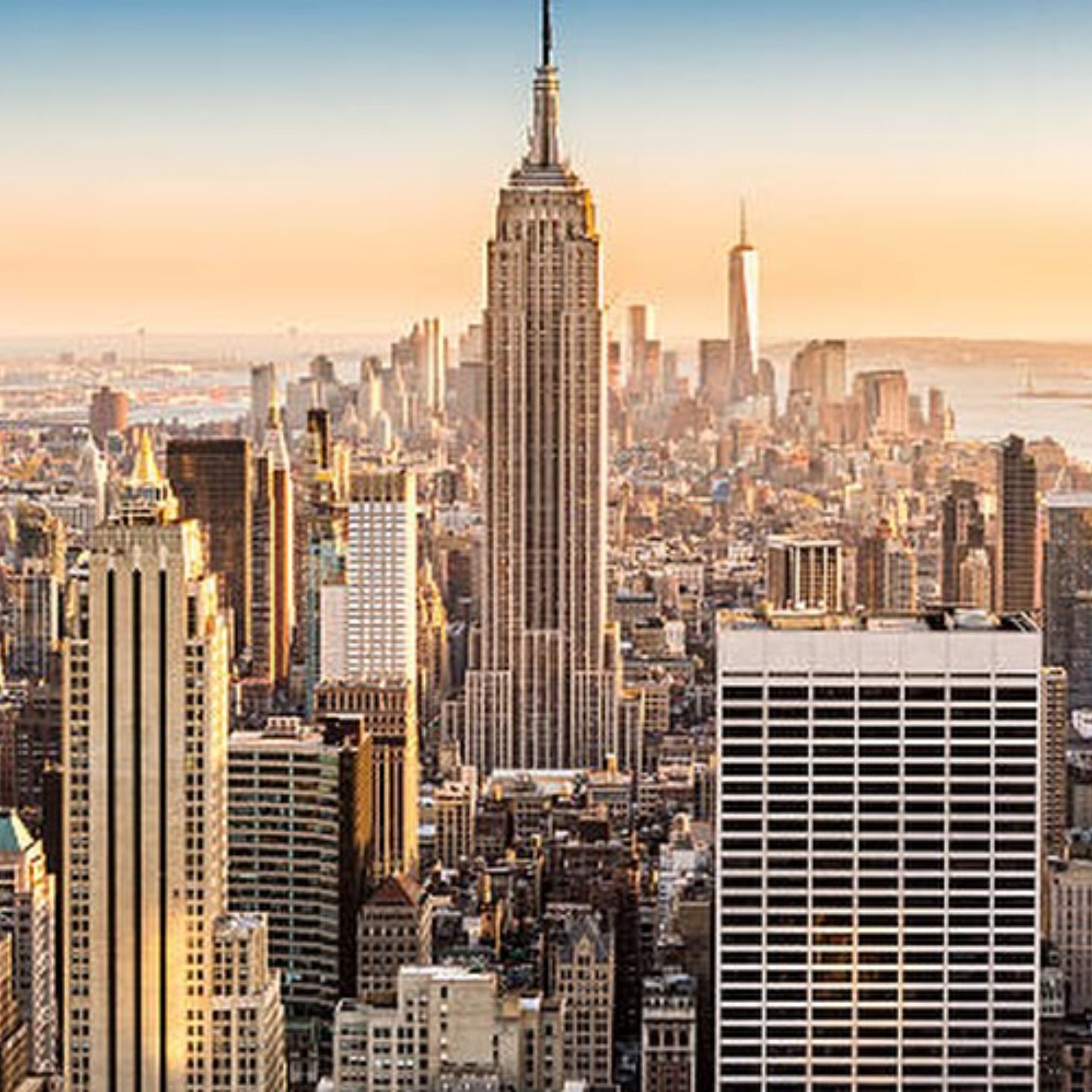 New York Mold Inspection