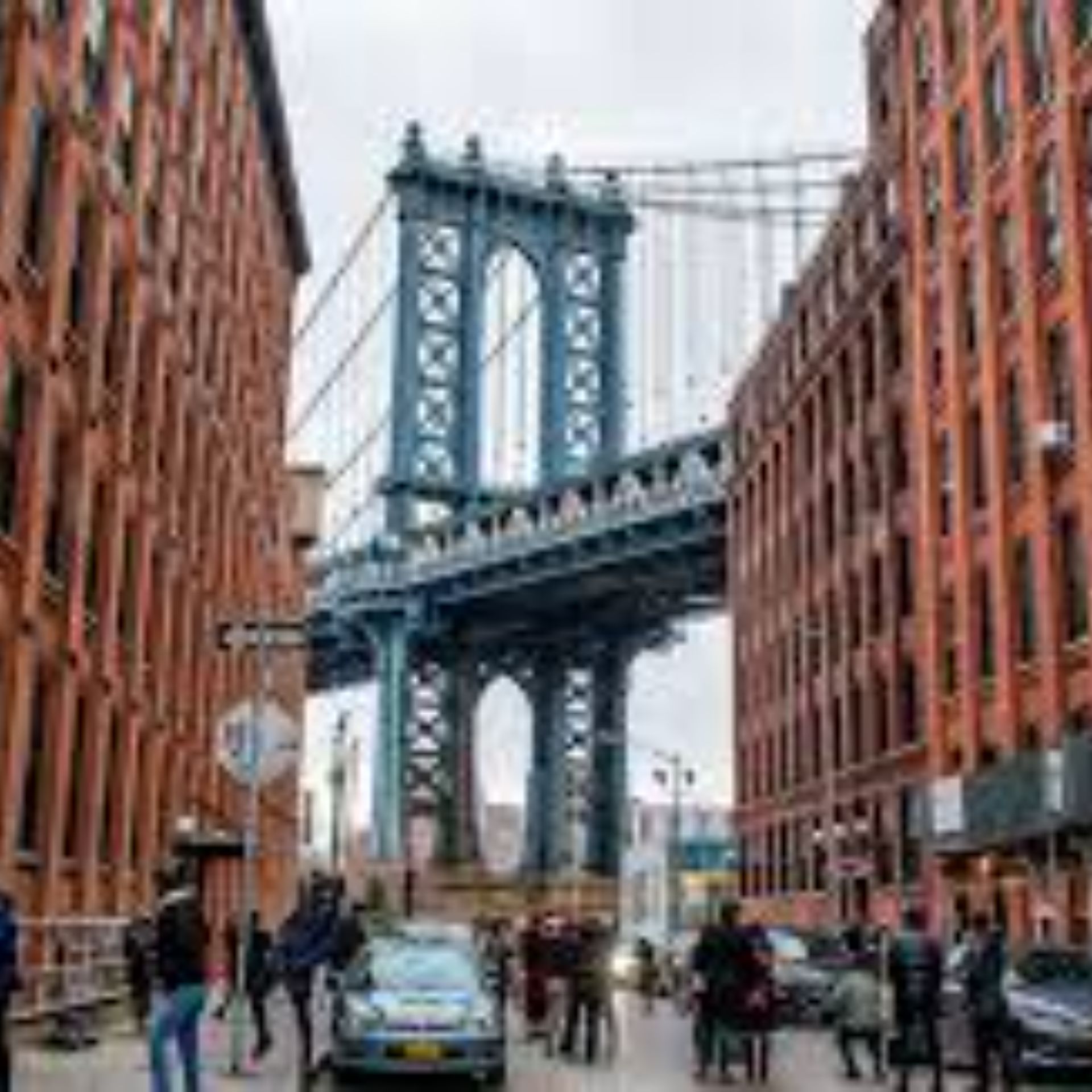 Brooklyn Mold Inspection