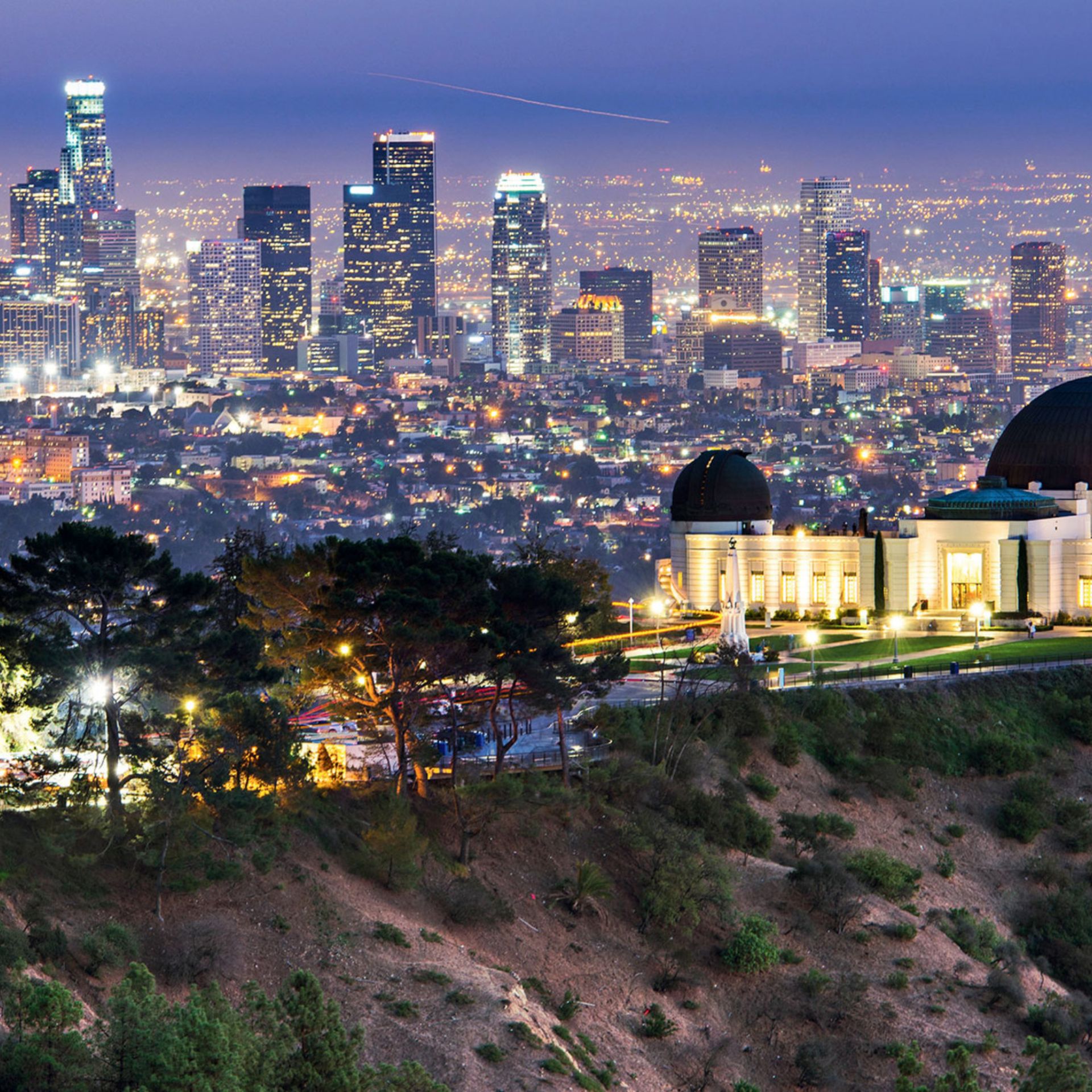 Los Angeles Mold Inspection