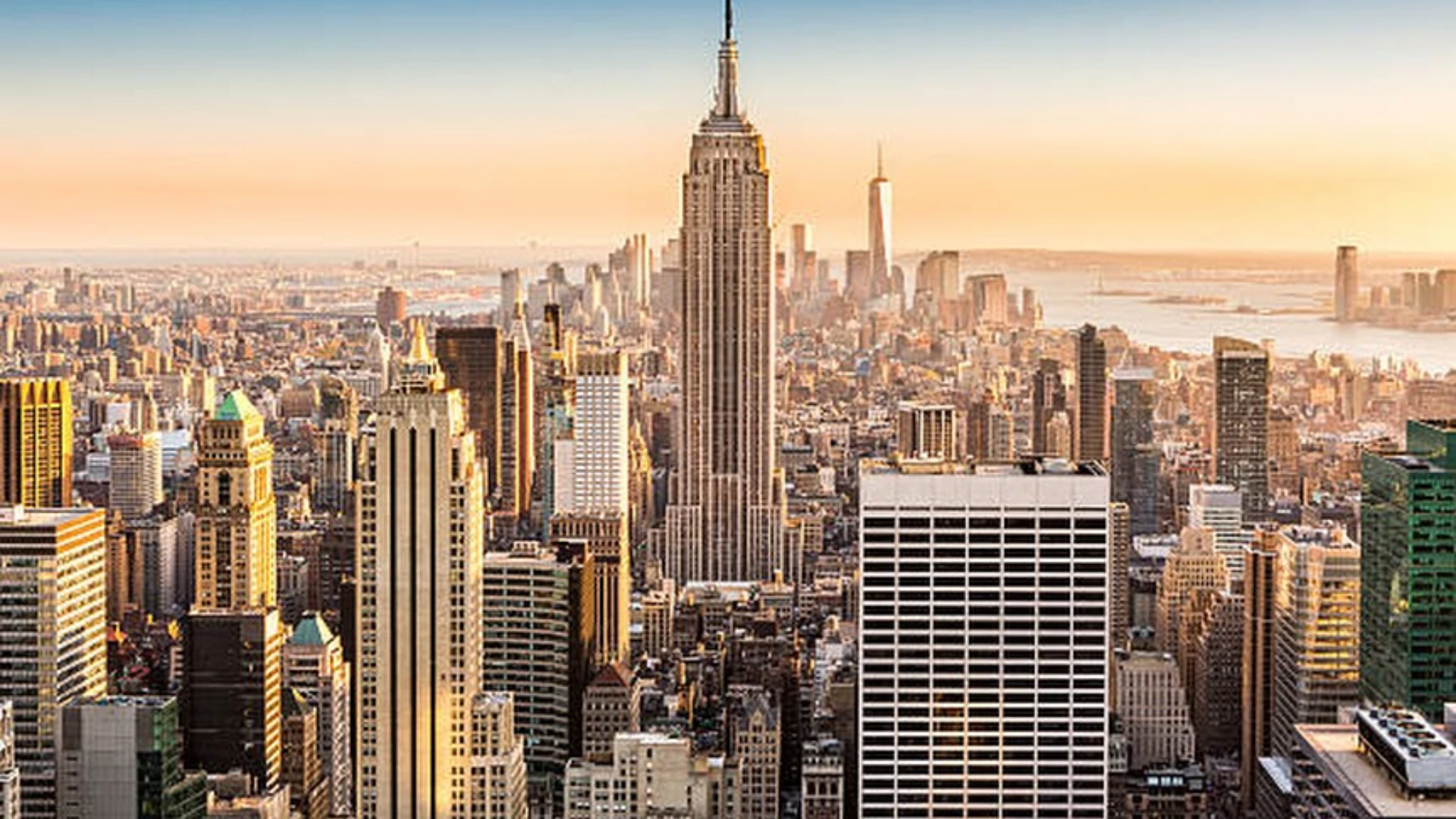 New York Mold Inspection