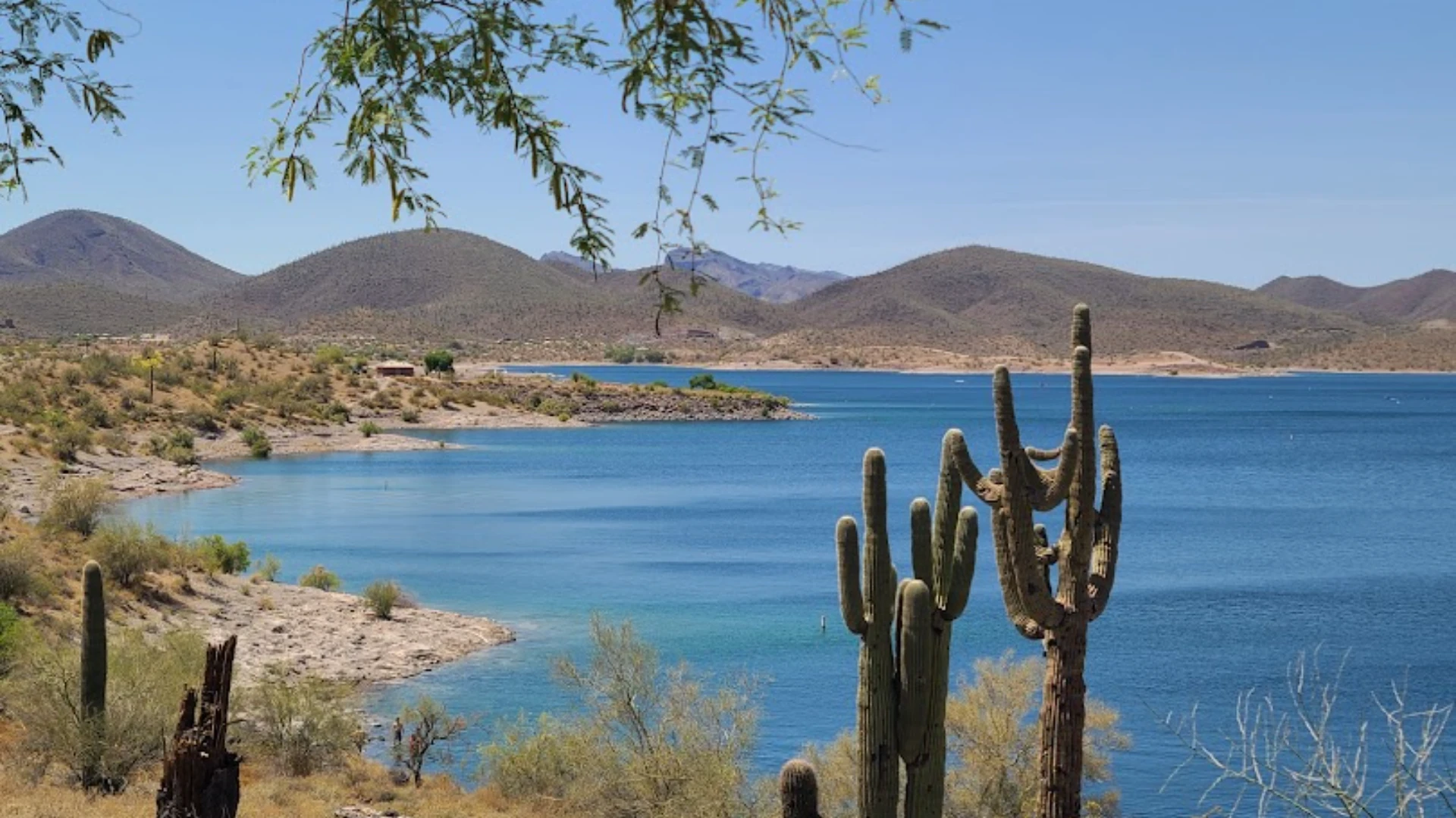 Peoria Mold Inspection