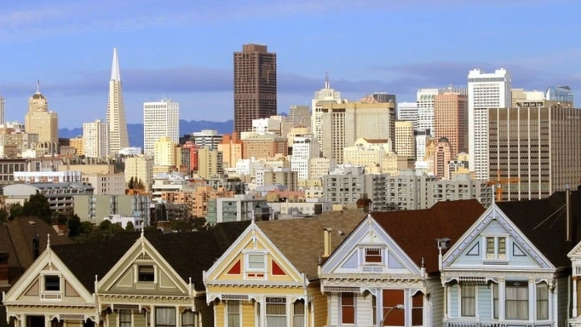 San Francisco Mold Inspection