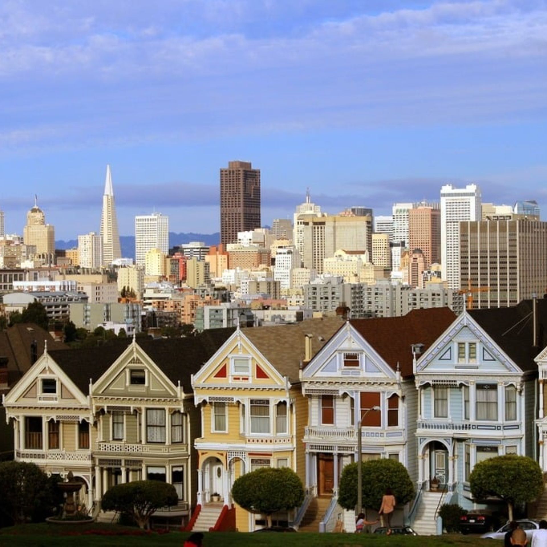 San Francisco Mold Inspection