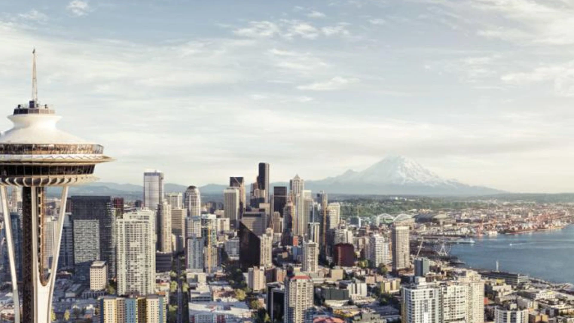 Seattle Mold Inspection