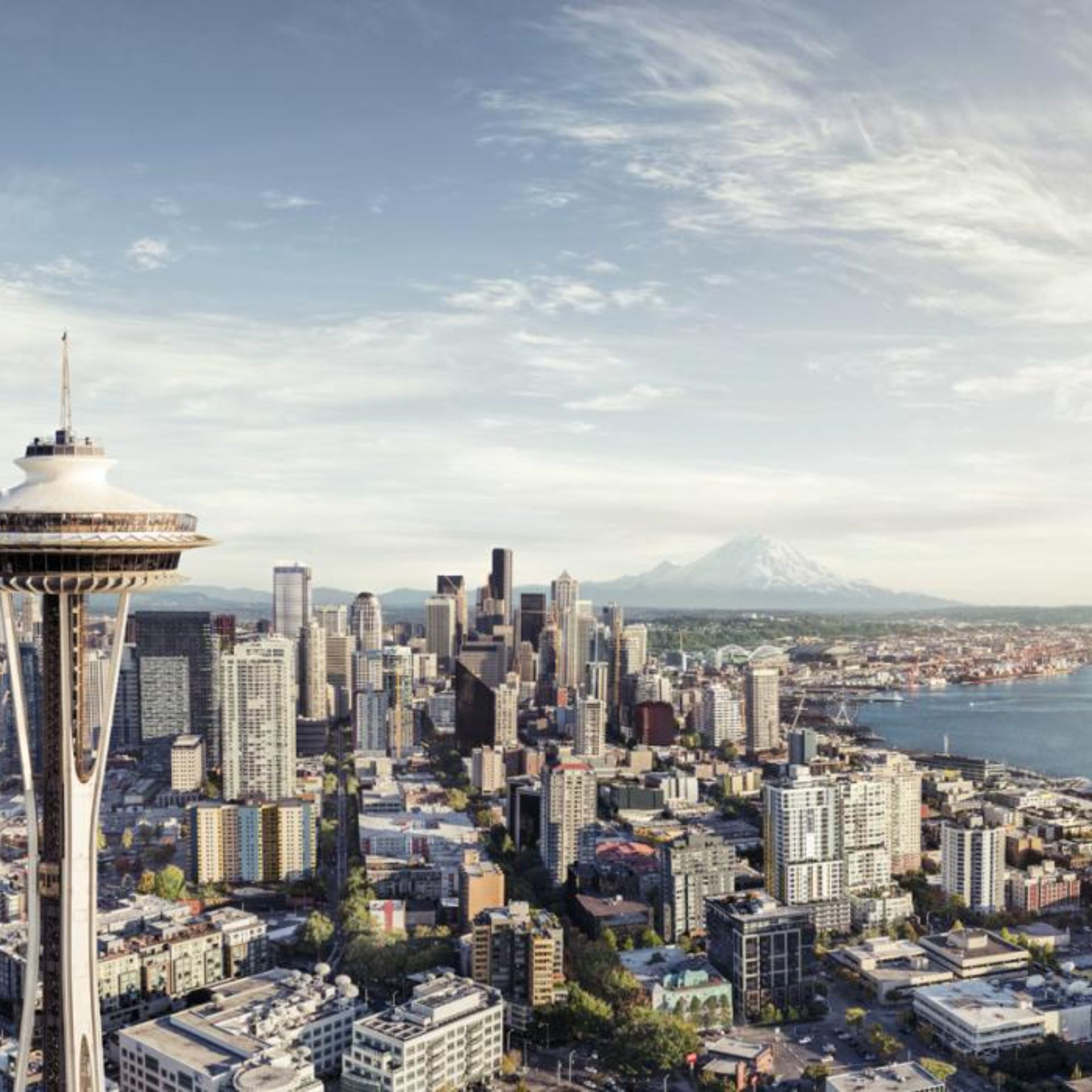 Seattle Mold Inspection