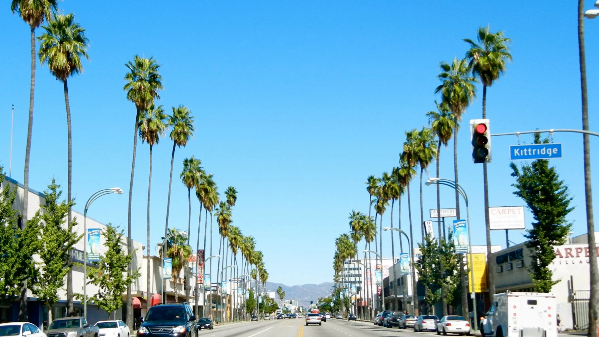 Van Nuys Mold Inspection