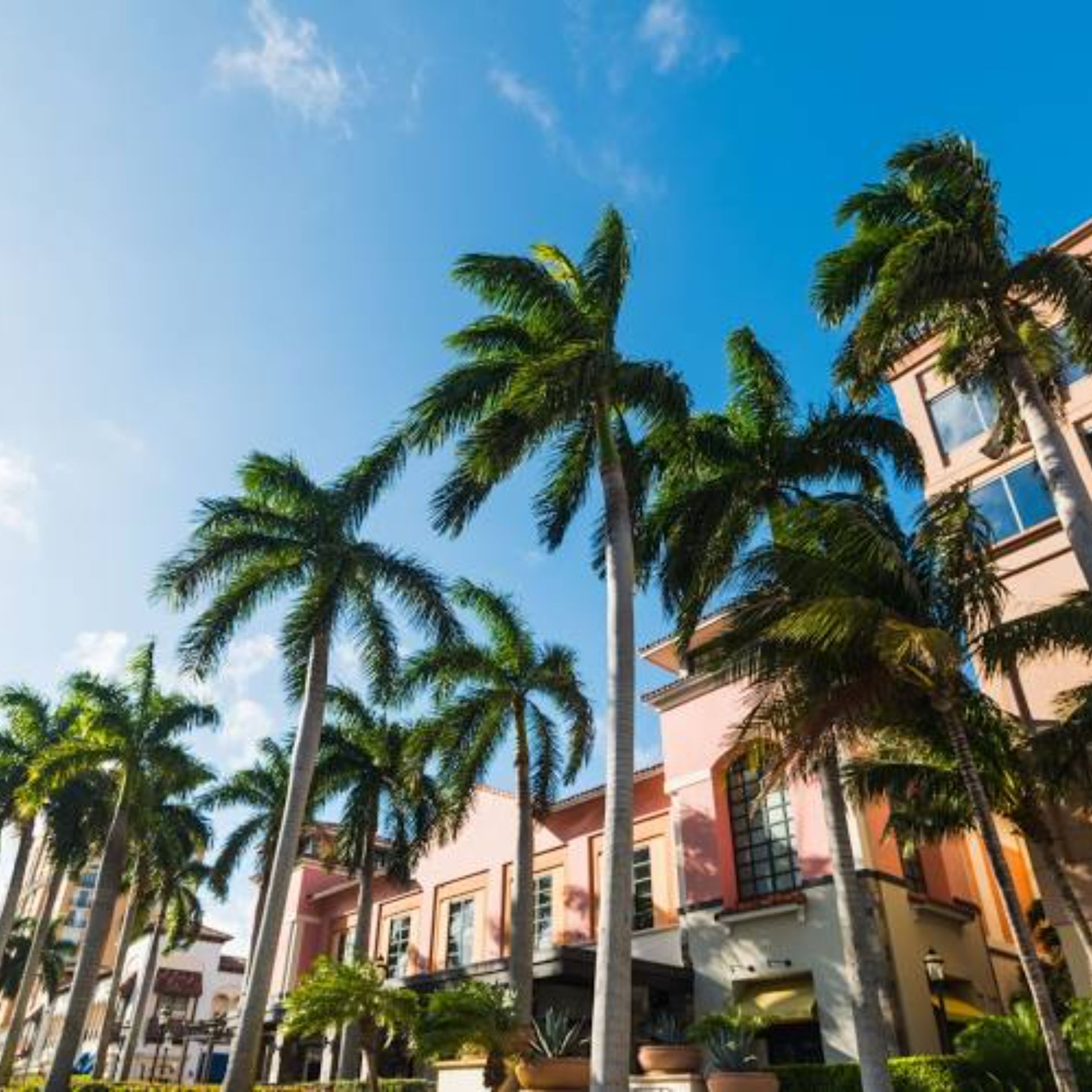 West Palm Beach Mold Inspection