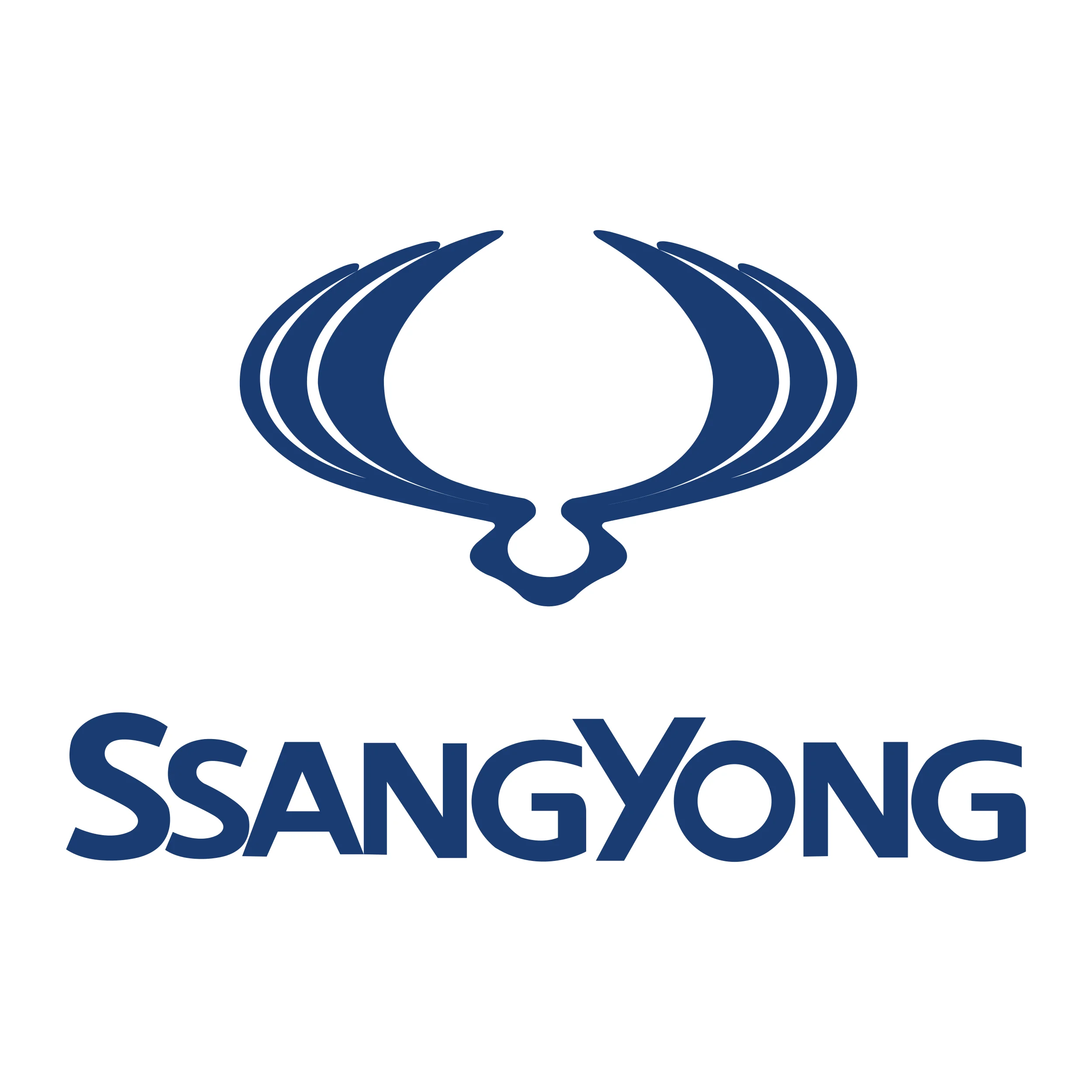 Chiptuning für Ssangyong