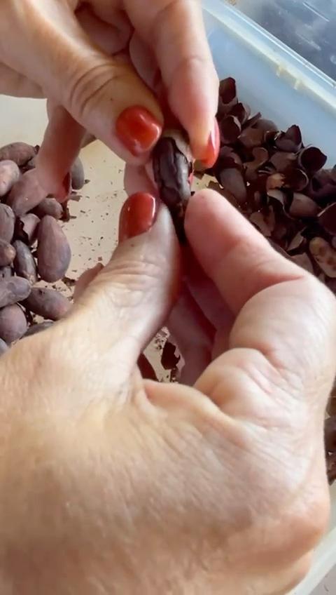 CACAO TOSTADO (SIN PELAR)