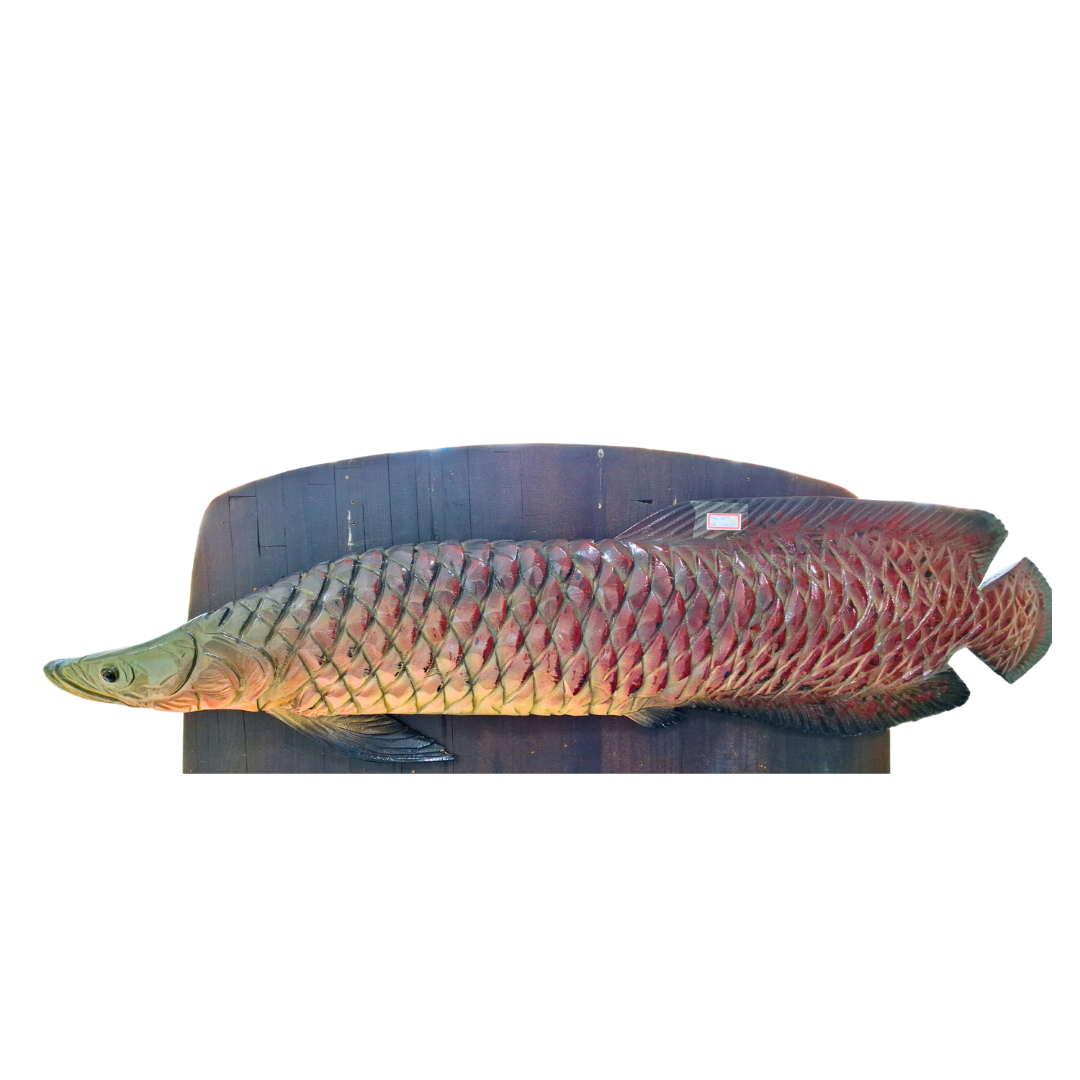 Pirarucu de Madeira