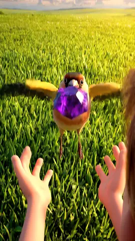 Bird Carry