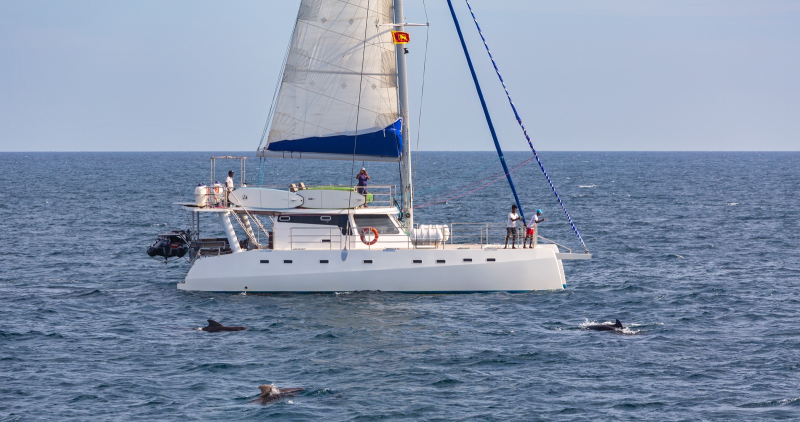 7-Hour Whale Watching Cruise – Mirissa