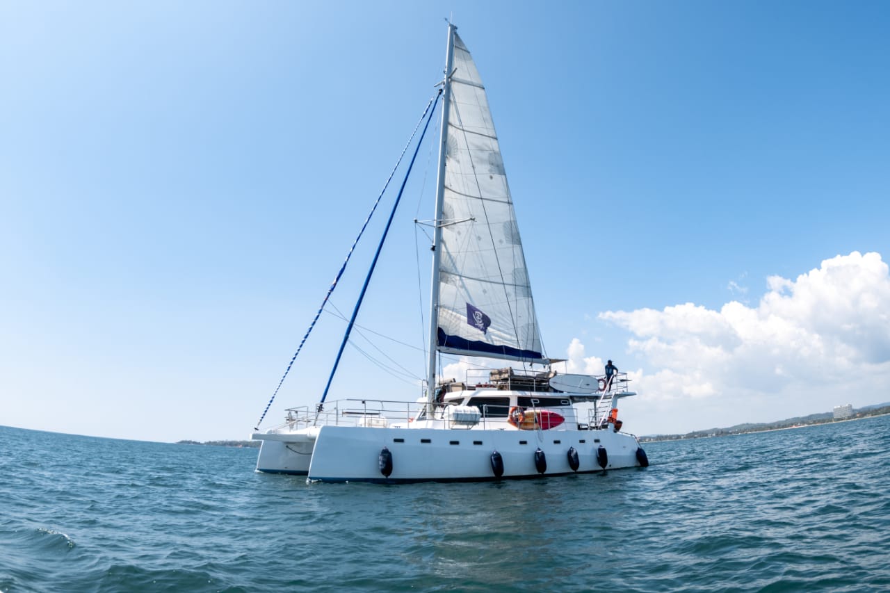 7-Hour Whale Watching Cruise – Trincomalee