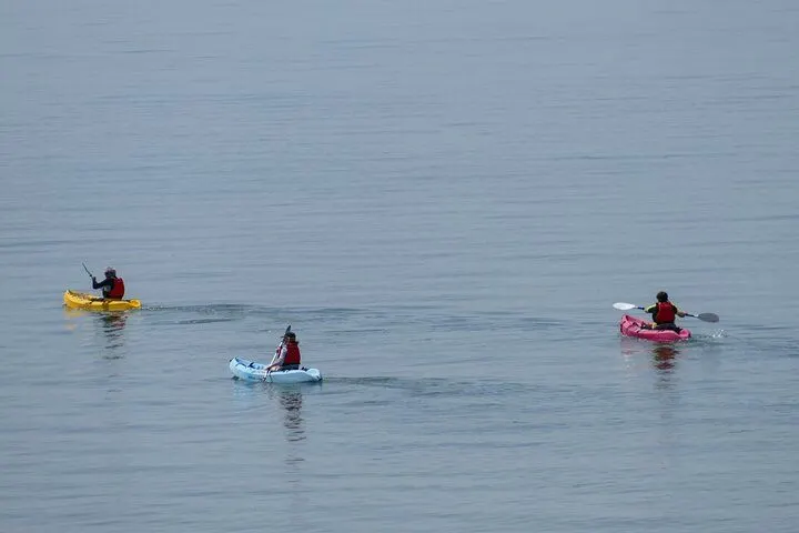 Canoeing in Mount Lavinia
