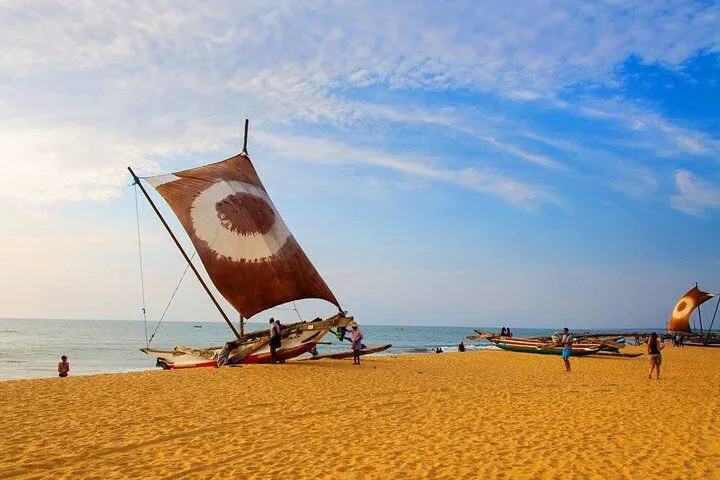 Catamaran Sunset Sailing in Mount Lavinia