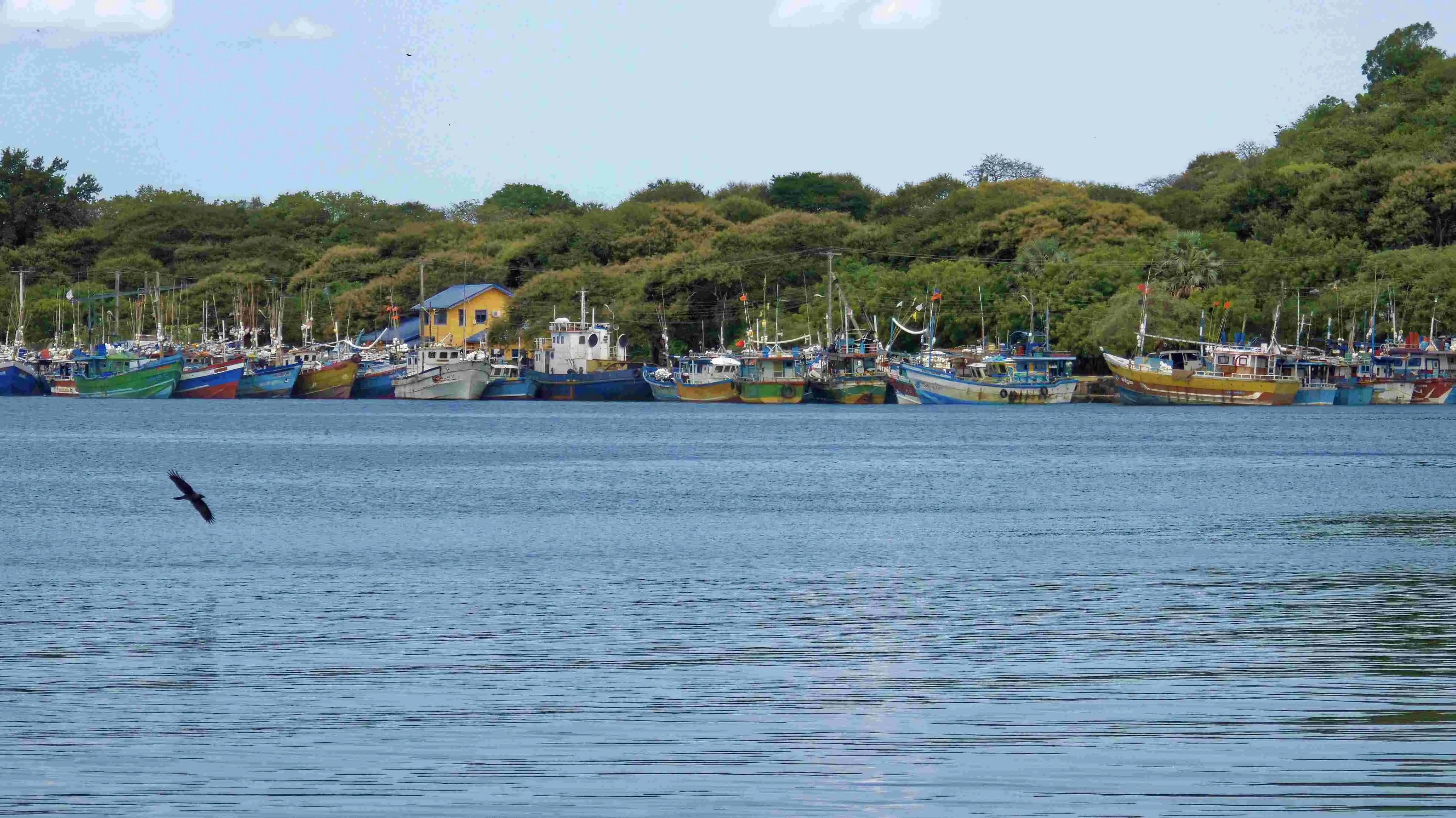 Escape into Wilderness Jet Ski Safari